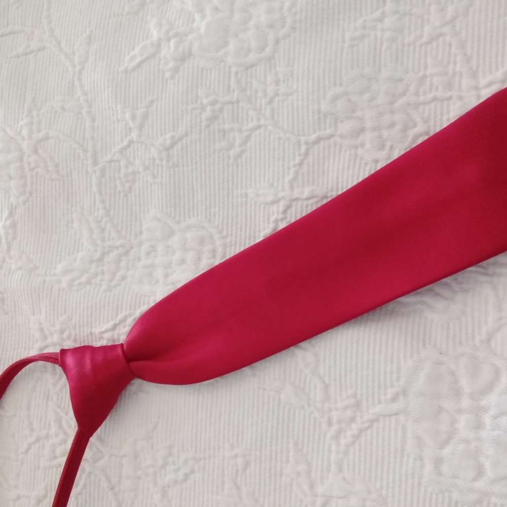 Set Of 2 Boys Zipper Adjustable Neck Ties Navy And Red